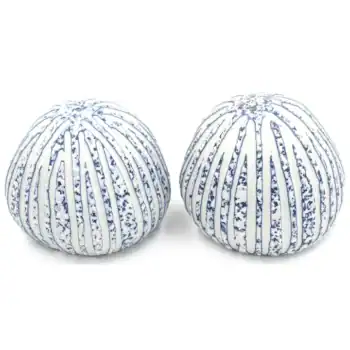 Blue and White Pebble Salt & Pepper Shakers